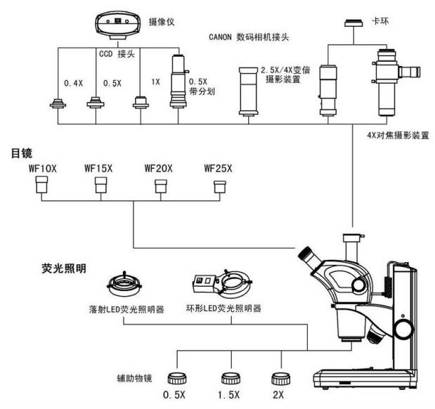 結(jié)構(gòu)圖1.png