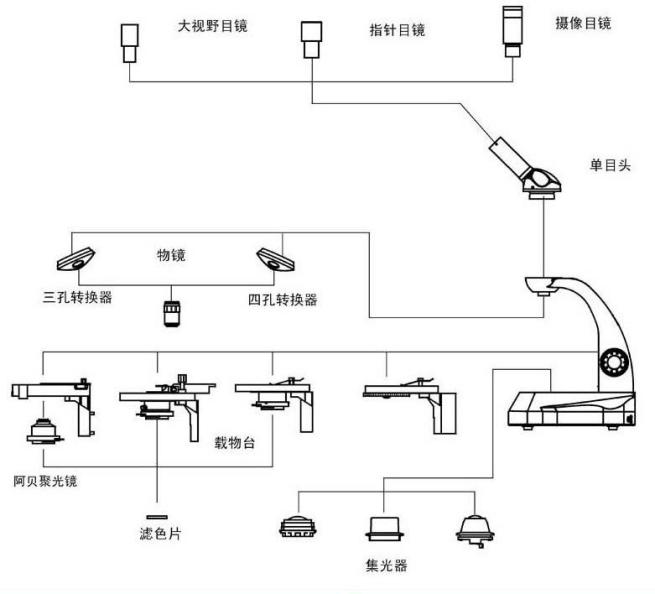 結(jié)構(gòu)圖.png